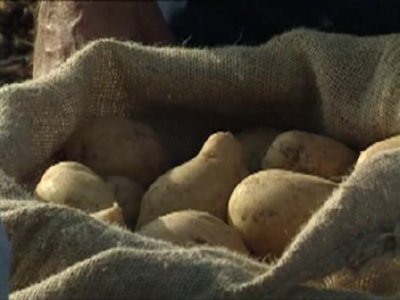PATATAS (4)  CAMPO APEROS